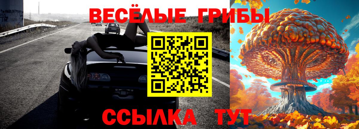 Малоярославец  Галлюциногенные грибы Psilocybe  Вход с VPN  Галлюциногенные грибы прущие грибы 