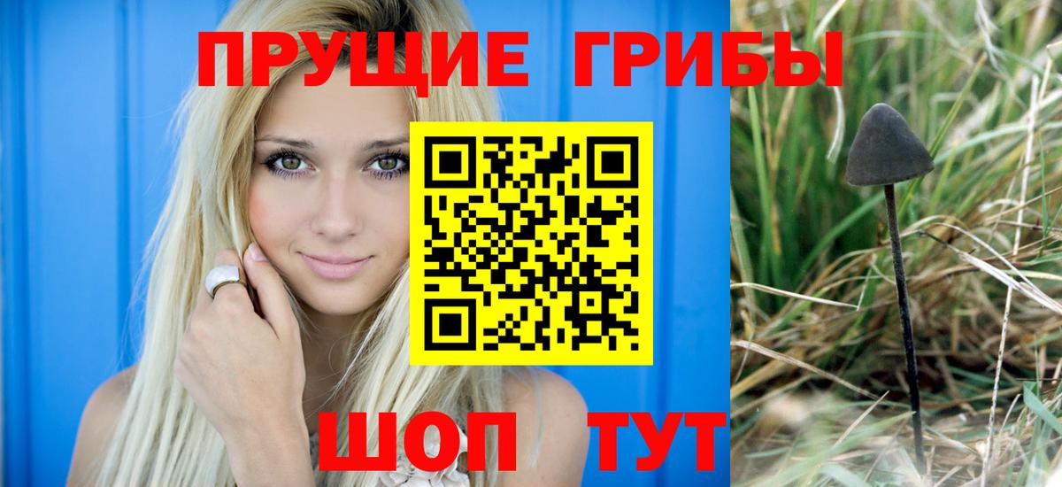 Псилоцибиновые грибы мухоморы Малоярославец