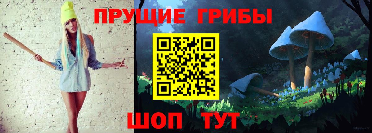 Псилоцибиновые грибы мицелий Малоярославец